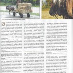 Article-Sabots 02b